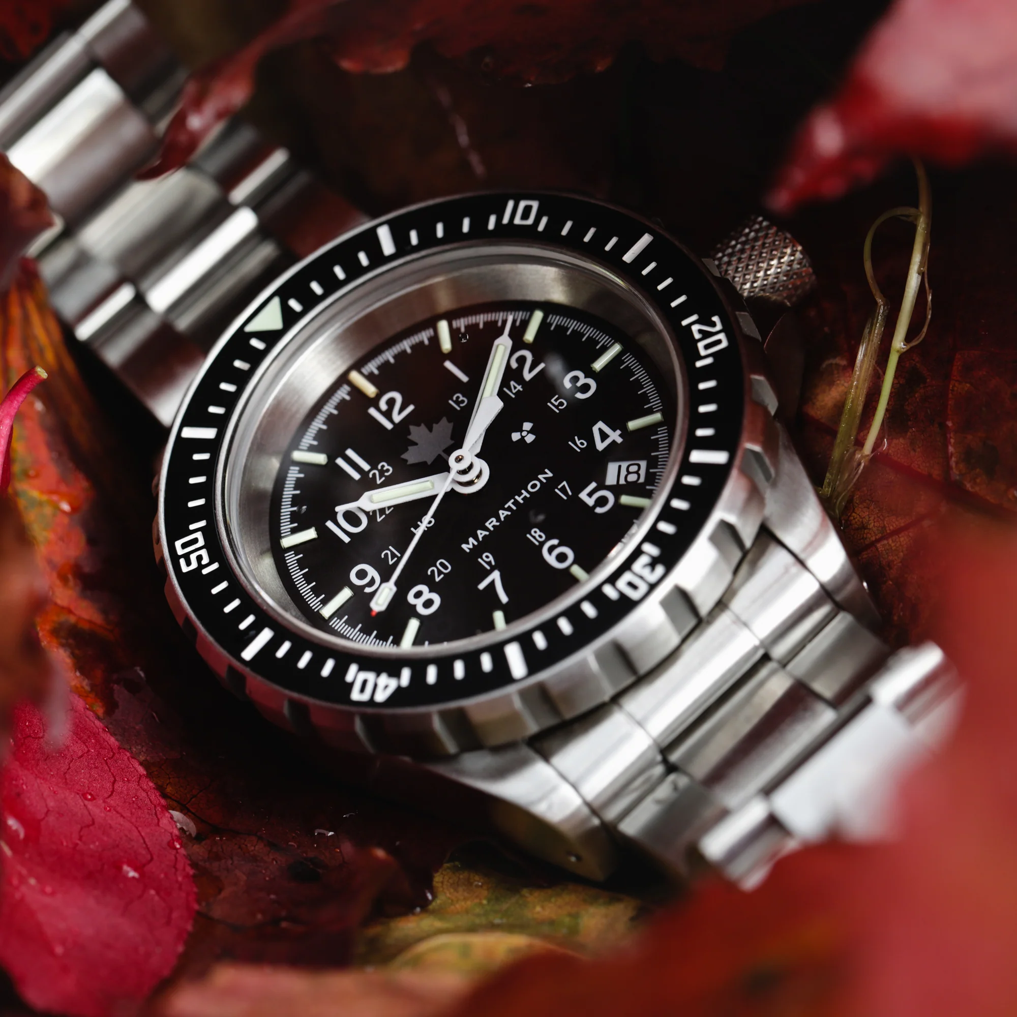 41mm Grey Maple Large Diver's Automatic (GSAR) with Stainless Steel Bracelet - Image 6